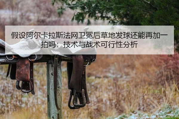假设阿尔卡拉斯法网卫冕后草地发球还能再加一拍吗：技术与战术可行性分析