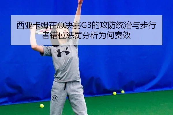 xi-ya-ka-mu-zai-zong-jue-sai-de-gong-fang-tong-zhi-yu-bu-xing-zhe-cuo-wei-cheng-fa-fen-xi-wei-he-zou-xiao-2-140.jpg