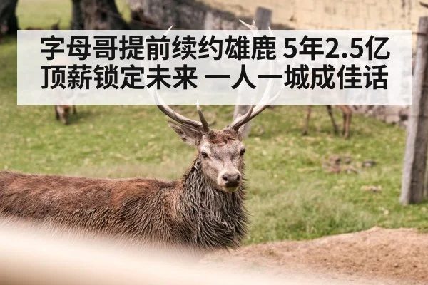 字母哥提前续约雄鹿 5年2.5亿顶薪锁定未来 一人一城成佳话